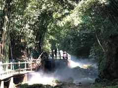 -川西竹海景区