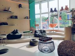 -飞行喵MR PILOT|猫舍·猫咖(静安大融城店)