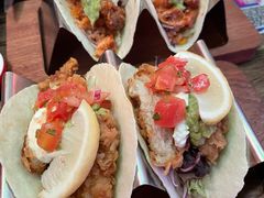 -Famous肥猫墨西哥音乐餐吧(五棵松华熙LIVE店)