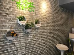 -黑龙茶(美吉特店)