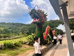 -巢湖姥山岛