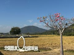-艾米稻香小镇