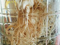 -山妹子铁锅炖