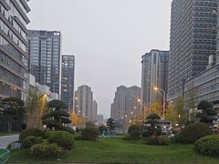 -木塔寺遗址生态公园