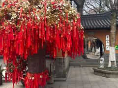 -灵谷景区