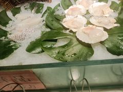 -裕龙汤泉