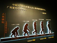 -广西壮族自治区博物馆