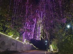 -北山公园