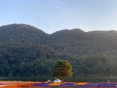 -广州市石门国家森林公园