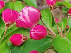 -元大都城垣遗址公园