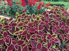 -聚德福海鲜家常菜(刘庄店)