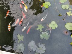 -顺德了能馆(虎门店)