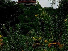 -永定河休闲森林公园