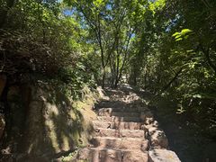 -大岭沟猕猴桃谷风景区