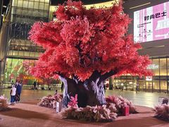 -南昌之星摩天轮