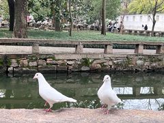 -西园戒幢律寺