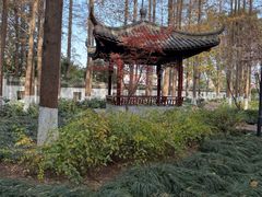 -瀛洲公园