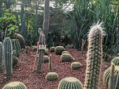-呀路古热带植物园