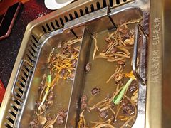 -蜀九鼎毛肚火锅(建瓯店)