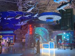 -烟台海昌鲸鲨海洋公园