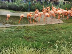 -武汉动物园