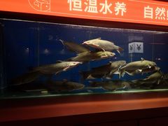 -鱼上·烤鱼(万象城店)
