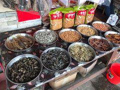 -大湾区中央湿地公园-十九涌
