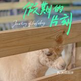 朋友聚餐亲子农庄💚 | 0元免费看羊驼🦙