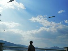 -滇池海埂公园
