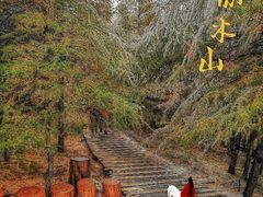 -苏木山森林公园