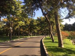 -钓鱼台国宾馆