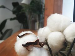 -COTTON CAFE(德信·中外公寓店)