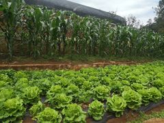 -昆明春城湖畔度假村