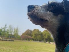 -滆湖低碳生态公园