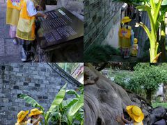 -宁波市保国寺古建筑博物馆