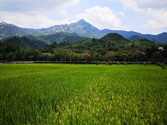 -绩溪龙川景区