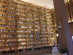 -深影国际影城(学院南路店CGS中国巨幕店)