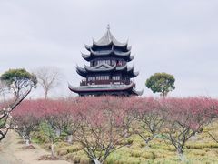 -上海海湾国家森林公园