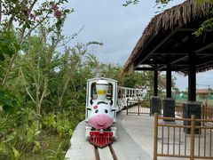 -杭州湾海上花田景区