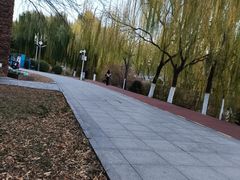 -南翠屏公园