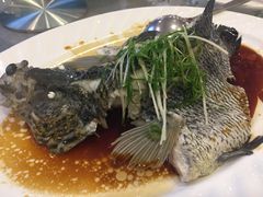 -岭南海晏楼(东晓南店)
