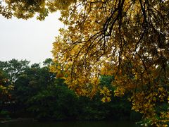 -钓鱼台国宾馆