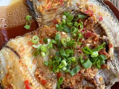 -晓雯人家