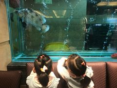 -海逸海鲜酒家(古北店)
