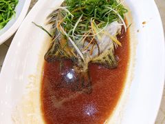 清蒸金鼓鱼-轩记海鲜餐厅·四十五年老字号·经典粤菜(西区彩虹店)