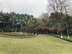 -龙头寺公园