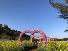 -野狸岛