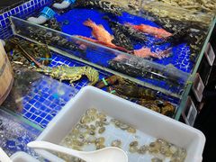 -高佳庄·舟山海鲜(海景旗舰店)