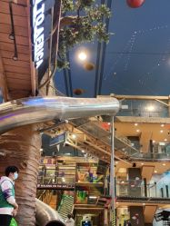 点击看大图 -卡通尼·Safari非洲探索乐园·生日会(金桥国际商业广场店)