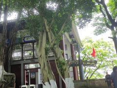 -丰都鬼城名山景区